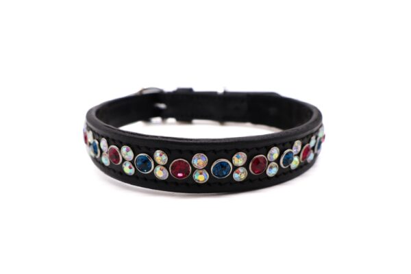 Halsband I like to party voor honden