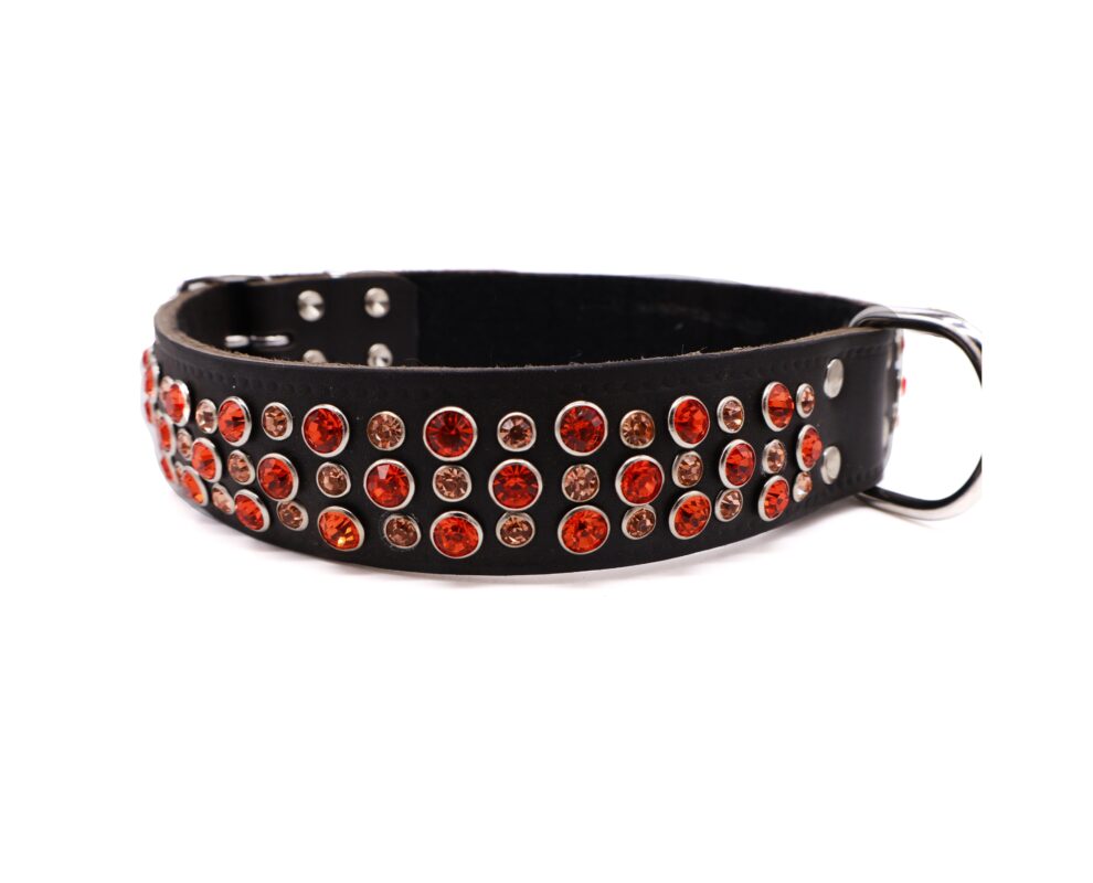 Halsband breed Abbey voor honden