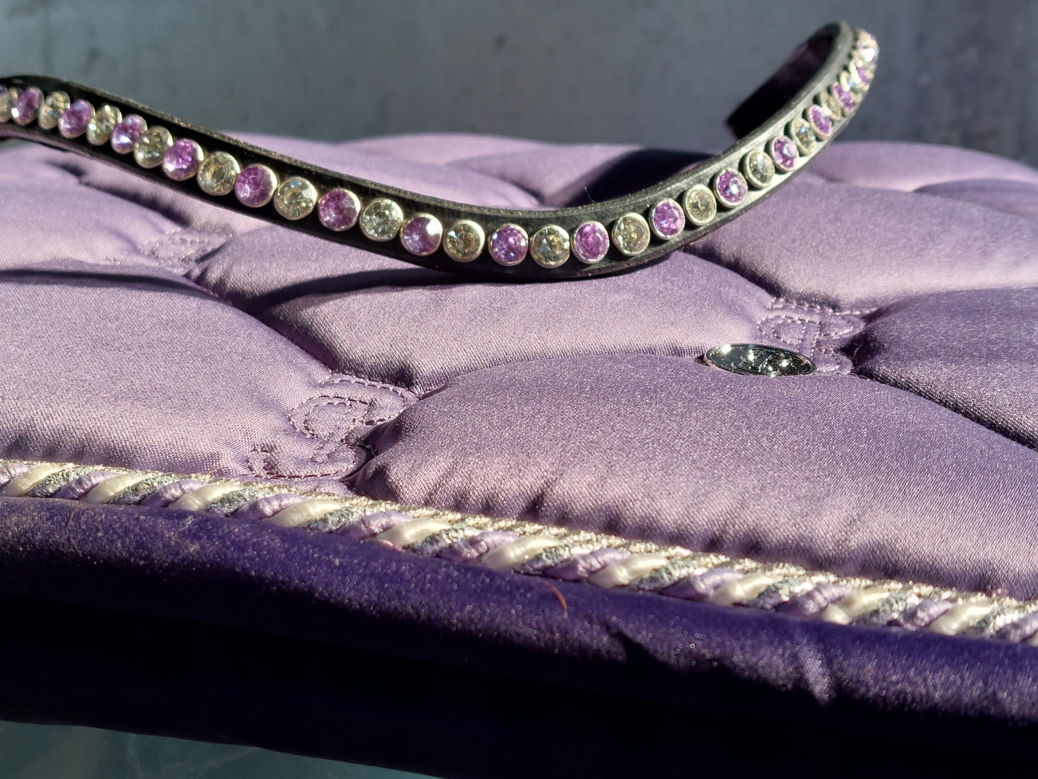 Voorbeeld dutch bling frontriem met equestrian stockholm dekje