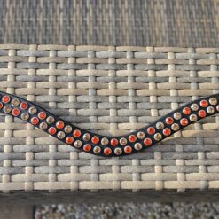 Frontriem Girl on Fire – Born to sparkle! Laat je paard schitteren met de Girl on Fire frontriem van Dutch Bling! Vurige rood-oranje en champagnekleurige kristallen op elegant zwart leer.